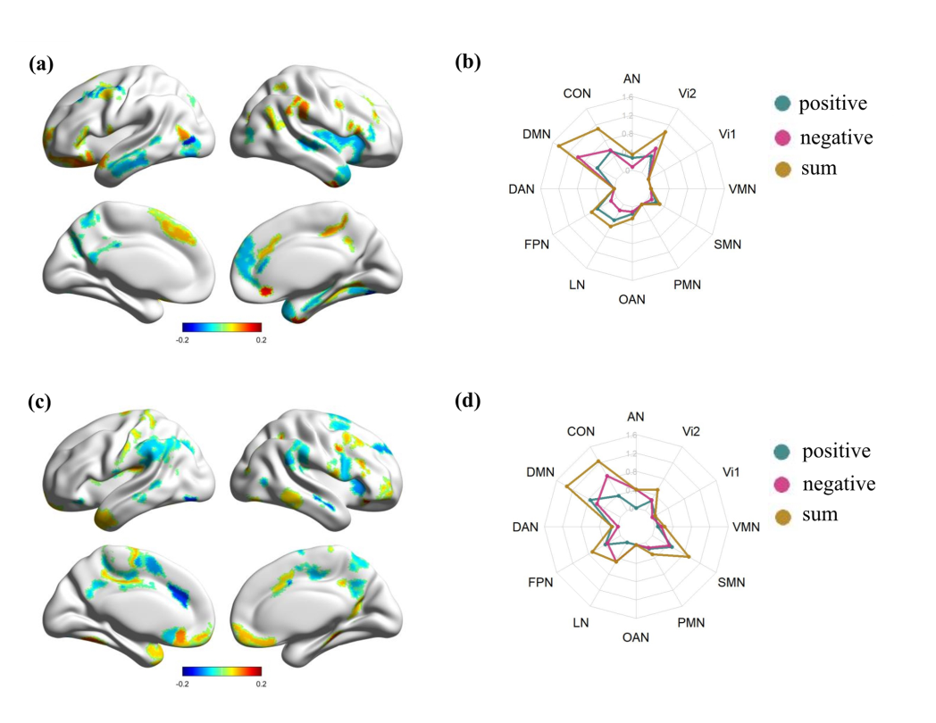 心理学部教授团队在《Human Brain Mapping》发文揭示言语创造性与视空创造性在半球动态偏侧化机制上的异同-心理学实验教学中心